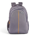 REGULAR BACK PACK TOUCH-19"(37 LTR) GREY
