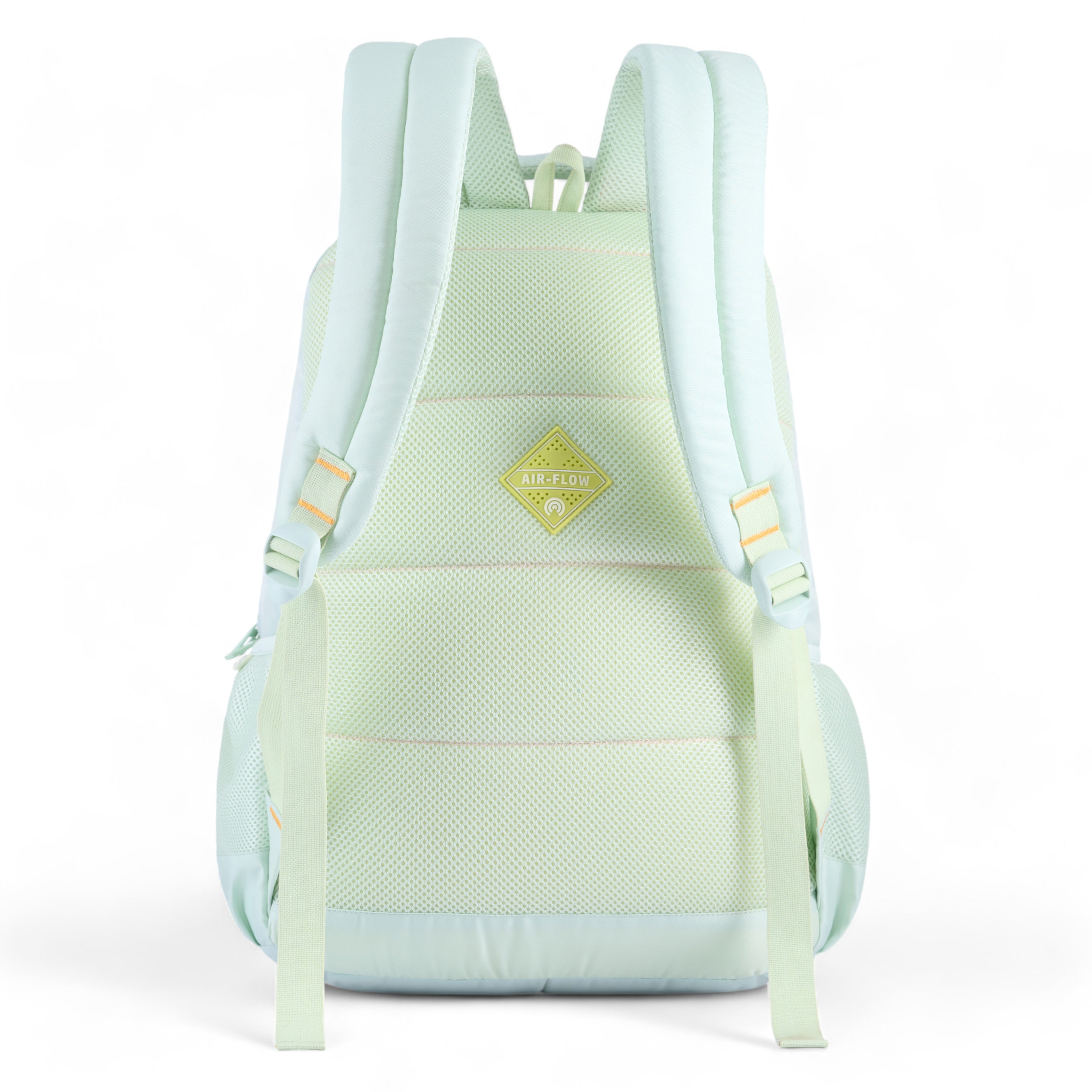 REGULAR BACK PACK HENRI-19"(32 LTR) PESTA