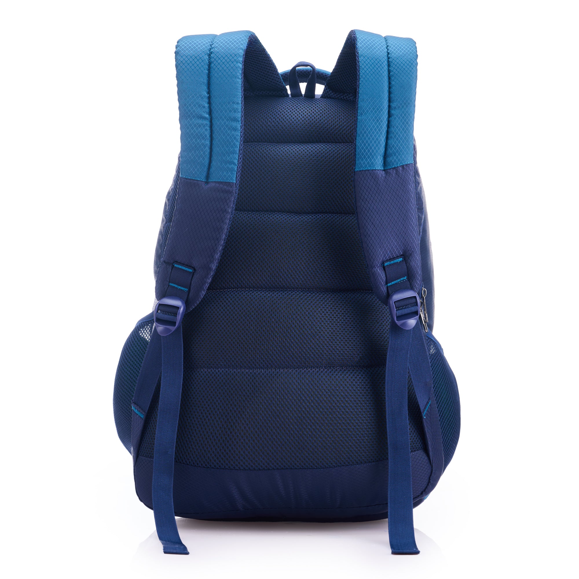 REGULAR BACK PACK TURTLE-22" (60 LTR) NAVY BLUE & AQUA BLUE