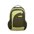 SB CURVY D GREEN